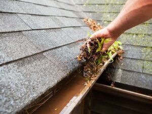 The Ultimate Guide to Local Gutter Cleaning: Tips, Tricks, and Everything You Need to Know