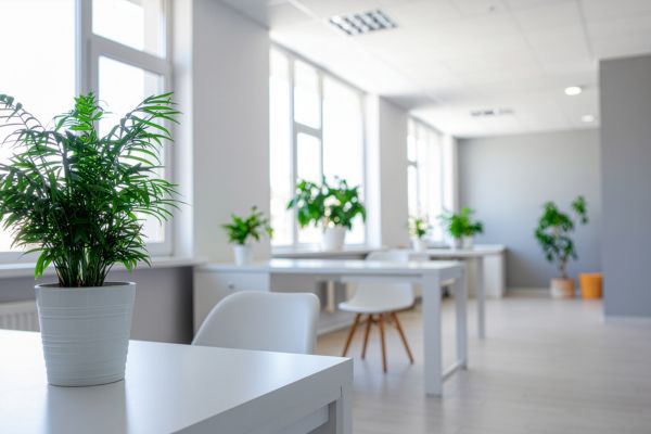 soundproofing home office spaces
